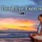 Third Eye Exercise – (OM)